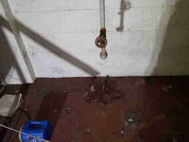 Testing again(40).jpg